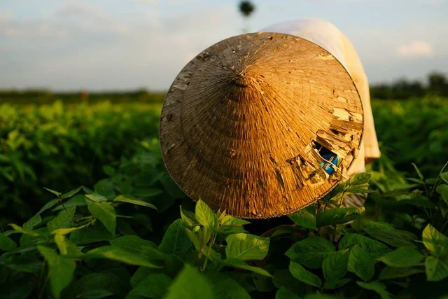 Ông bà ta đã vận dụng STEM từ thời xa xưa! Ông
